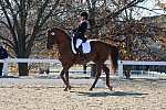 HHB-DressageFinals-11-8-13-0492-DDeRosaPhoto