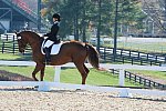 HHB-DressageFinals-11-8-13-0505-DDeRosaPhoto