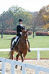 HHB-DressageFinals-11-8-13-0509-DDeRosaPhoto