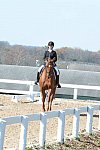 HHB-DressageFinals-11-8-13-0513-DDeRosaPhoto