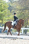 HHB-DressageFinals-11-8-13-0520-DDeRosaPhoto