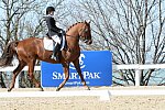 HHB-DressageFinals-11-8-13-0527-DDeRosaPhoto