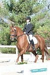 HHB-DressageFinals-11-8-13-0531-DDeRosaPhoto