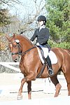 HHB-DressageFinals-11-8-13-0533-DDeRosaPhoto