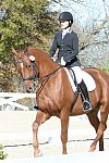 HHB-DressageFinals-11-8-13-0534-DDeRosaPhoto