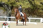 HHB-DressageFinals-11-8-13-0545-DDeRosaPhoto