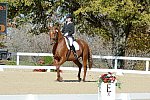 HHB-DressageFinals-11-8-13-0546-DDeRosaPhoto