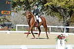 HHB-DressageFinals-11-8-13-0547-DDeRosaPhoto