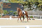 HHB-DressageFinals-11-8-13-0548-DDeRosaPhoto