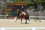 HHB-DressageFinals-11-8-13-0549-DDeRosaPhoto