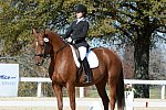 HHB-DressageFinals-11-8-13-0550-DDeRosaPhoto