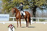 HHB-DressageFinals-11-8-13-0551-DDeRosaPhoto