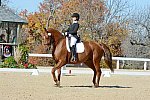 HHB-DressageFinals-11-8-13-0552-DDeRosaPhoto