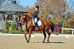 HHB-DressageFinals-11-8-13-0553-DDeRosaPhoto