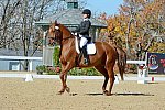 HHB-DressageFinals-11-8-13-0554-DDeRosaPhoto