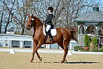 HHB-DressageFinals-11-8-13-0556-DDeRosaPhoto