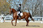 HHB-DressageFinals-11-8-13-0557-DDeRosaPhoto