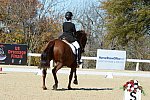 HHB-DressageFinals-11-8-13-0563-DDeRosaPhoto