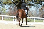 HHB-DressageFinals-11-8-13-0565-DDeRosaPhoto