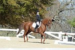 HHB-DressageFinals-11-8-13-0570-DDeRosaPhoto