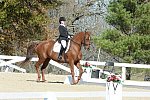 HHB-DressageFinals-11-8-13-0571-DDeRosaPhoto