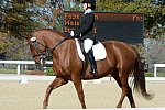 HHB-DressageFinals-11-8-13-0572-DDeRosaPhoto