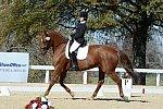 HHB-DressageFinals-11-8-13-0574-DDeRosaPhoto