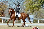 HHB-DressageFinals-11-8-13-0575-DDeRosaPhoto