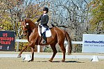 HHB-DressageFinals-11-8-13-0576-DDeRosaPhoto