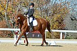 HHB-DressageFinals-11-8-13-0577-DDeRosaPhoto