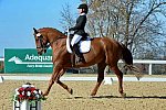 HHB-DressageFinals-11-8-13-0579-DDeRosaPhoto