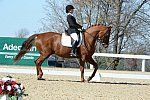 HHB-DressageFinals-11-8-13-0581-DDeRosaPhoto