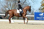 HHB-DressageFinals-11-8-13-0582-DDeRosaPhoto