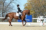 HHB-DressageFinals-11-8-13-0583-DDeRosaPhoto