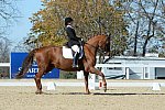 HHB-DressageFinals-11-8-13-0584-DDeRosaPhoto