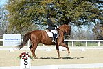 HHB-DressageFinals-11-8-13-0589-DDeRosaPhoto