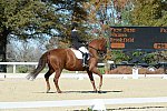 HHB-DressageFinals-11-8-13-0590-DDeRosaPhoto