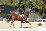 HHB-DressageFinals-11-8-13-0591-DDeRosaPhoto