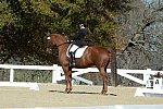 HHB-DressageFinals-11-8-13-0593-DDeRosaPhoto