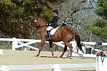 HHB-DressageFinals-11-8-13-0595-DDeRosaPhoto