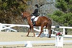 HHB-DressageFinals-11-8-13-0596-DDeRosaPhoto