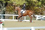 HHB-DressageFinals-11-8-13-0597-DDeRosaPhoto