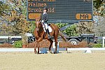 HHB-DressageFinals-11-8-13-0599-DDeRosaPhoto