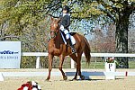 HHB-DressageFinals-11-8-13-0602-DDeRosaPhoto