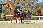 HHB-DressageFinals-11-8-13-0604-DDeRosaPhoto