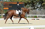 HHB-DressageFinals-11-8-13-0605-DDeRosaPhoto