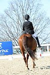 HHB-DressageFinals-11-8-13-0616-DDeRosaPhoto