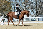 HHB-DressageFinals-11-8-13-0617-DDeRosaPhoto