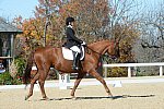 HHB-DressageFinals-11-8-13-0619-DDeRosaPhoto