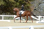 HHB-DressageFinals-11-8-13-0622-DDeRosaPhoto